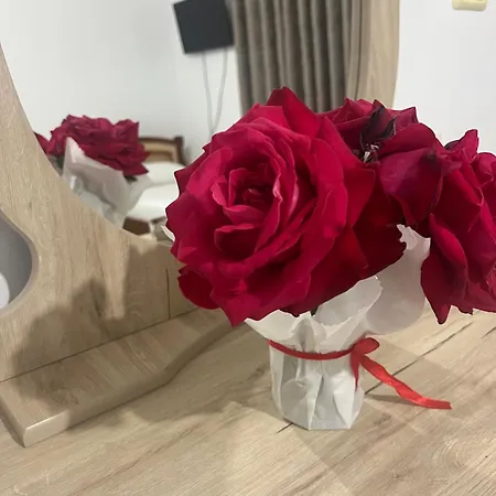 Mandi's 3* Ксамил